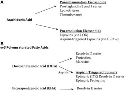 Impaired Resolution of Inflammation in Alzheimer’s Disease: A Review